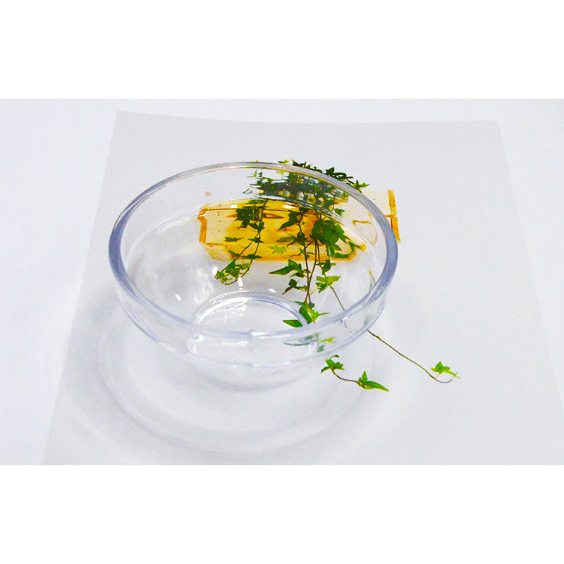 facial mask bowl yellick high transparent film bowl thickened beauty salon imitation glass cosmetic set accessories mixing bowl - image 5