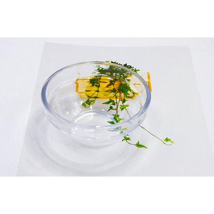 facial mask bowl yellick high transparent film bowl thickened beauty salon imitation glass cosmetic set accessories mixing bowl - image 5