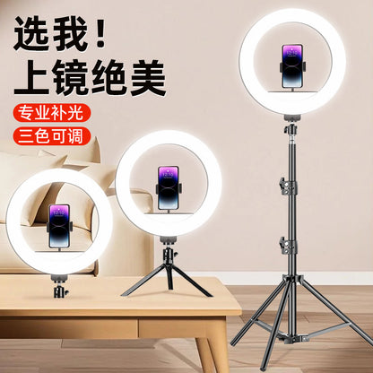 Phone Fill Light 10inch Desktop Beauty Live Streaming Light Floor Shooting USB Convenient Ring Light Influencer Live Streaming Stand - image 1